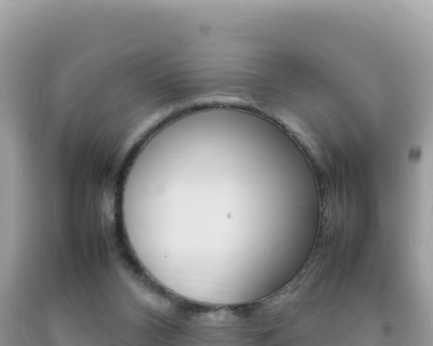 X0000092230112200709140949
