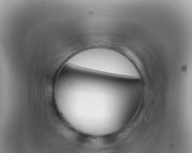 X0000092230113200709140949