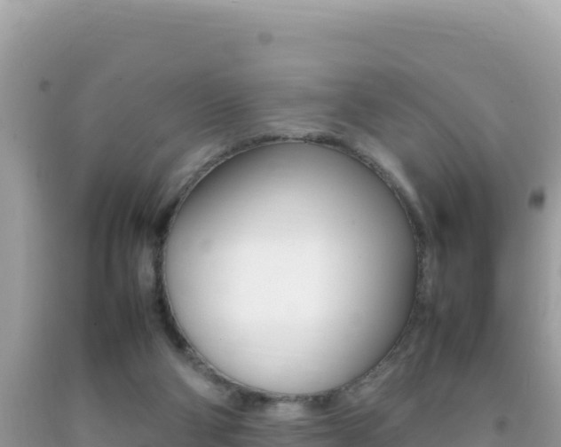 X0000092230114200709140949