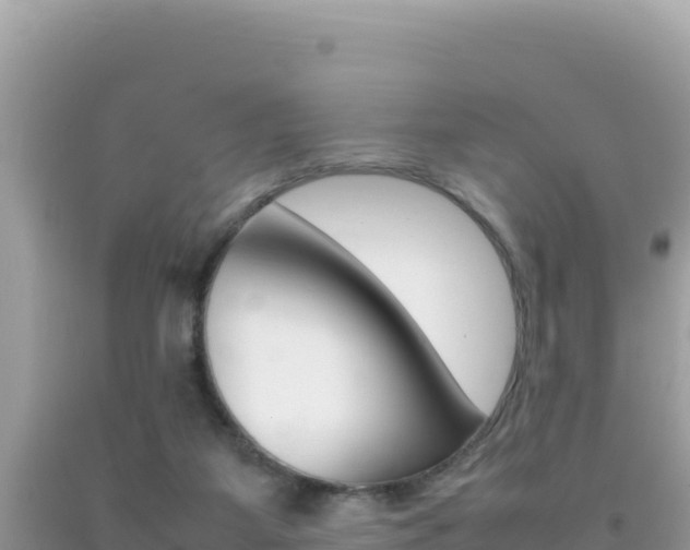 X0000092230115200709140949