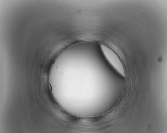 X0000092230117200709140949