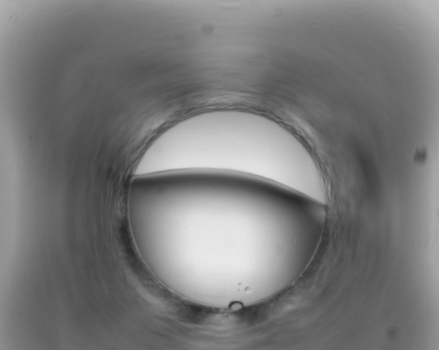 X0000092230119200709140949