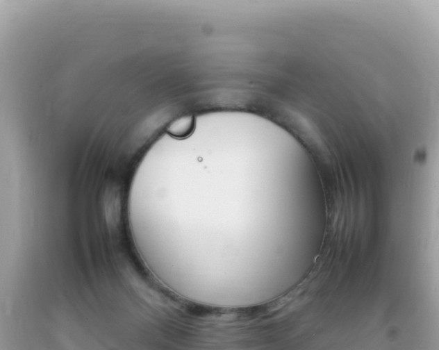 X0000092230120200709140949