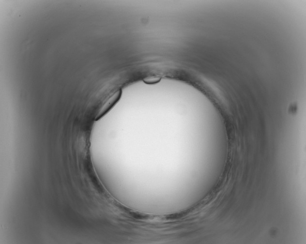 X0000092230121200709140949