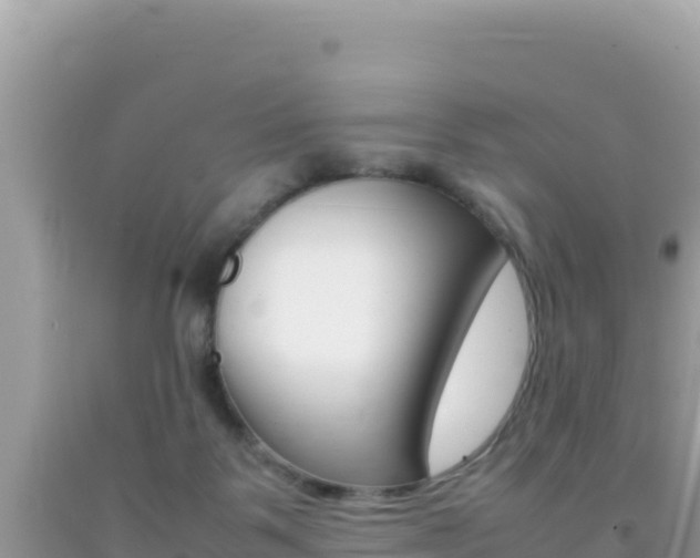 X0000092230123200709140949