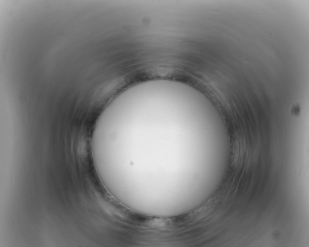 X0000092230126200709140949