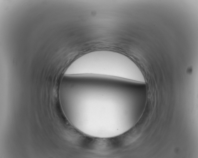 X0000092230127200709140949