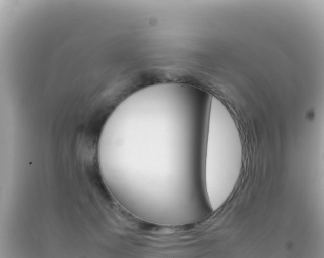 X0000092230129200709140949