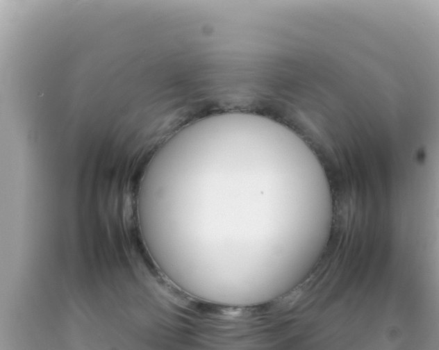 X0000092230130200709140949