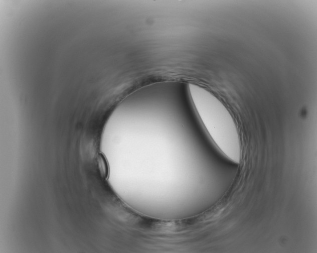X0000092230131200709140949