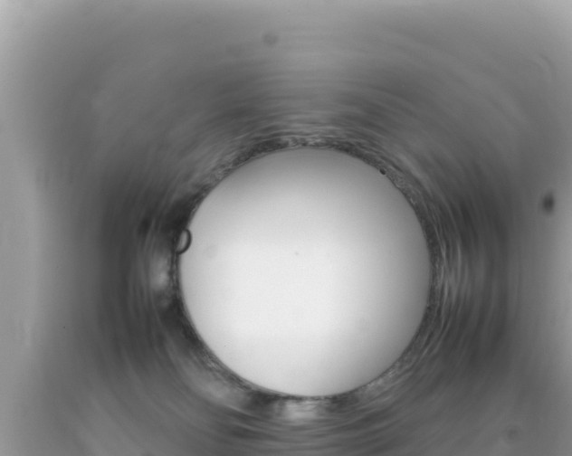 X0000092230134200709140949