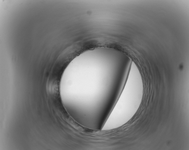X0000092230137200709140949