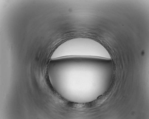 X0000092230139200709140949