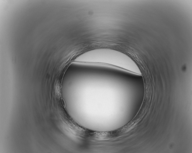 X0000092230143200709140949