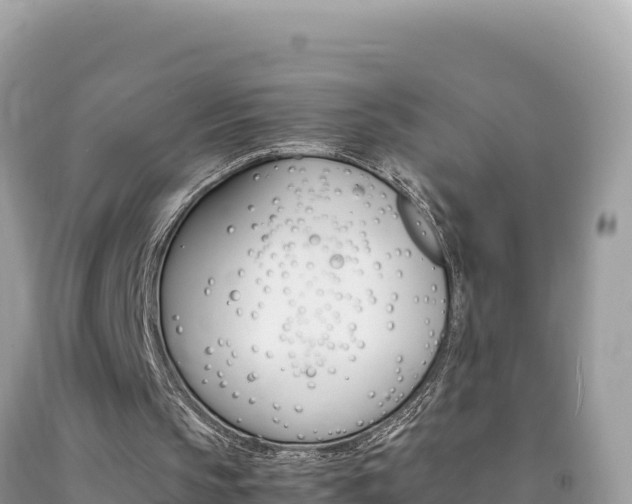 X0000092230145200709140948