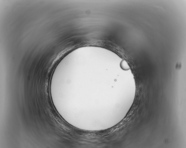 X0000092230146200709140948