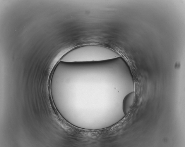 X0000092230147200709140948