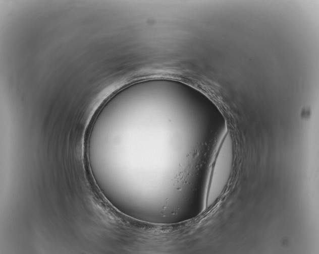 X0000092230148200709140948
