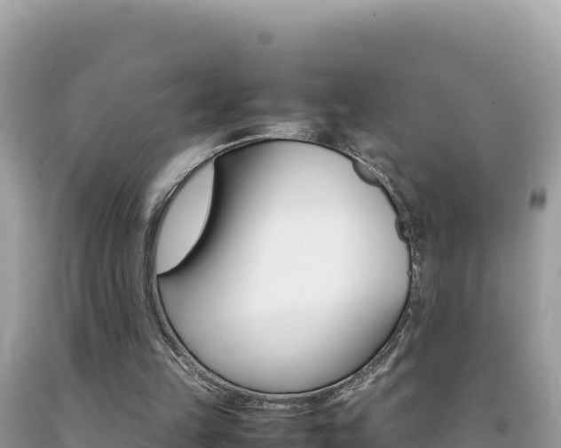 X0000092230149200709140948