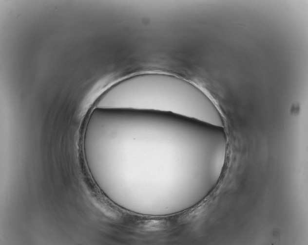 X0000092230151200709140948