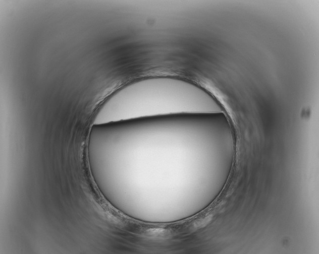 X0000092230153200709140948