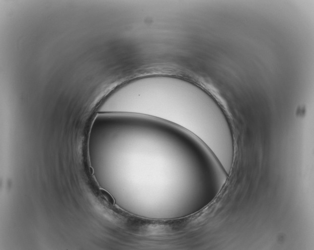 X0000092230154200709140948