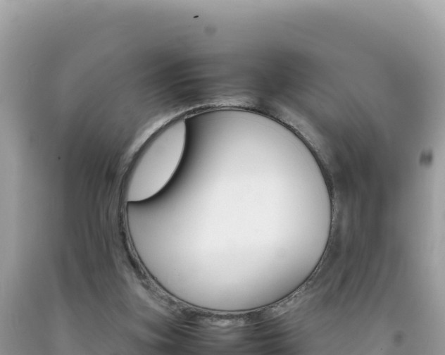 X0000092230155200709140948