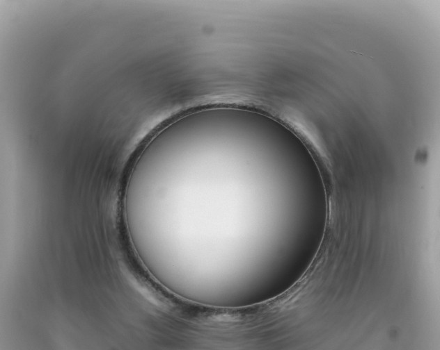 X0000092230156200709140948