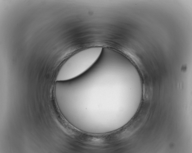 X0000092230157200709140948
