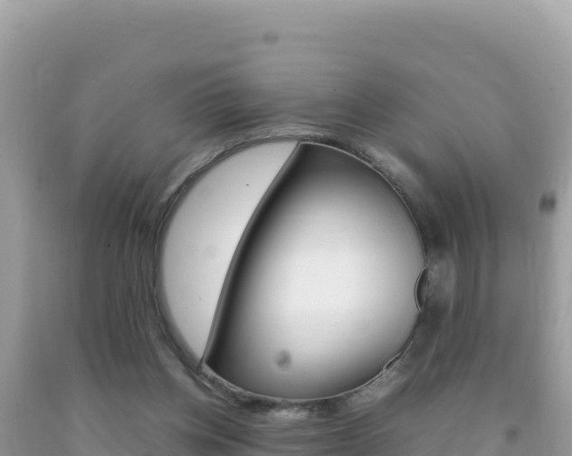 X0000092230158200709140948