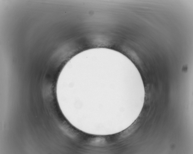 X0000092230162200709140948