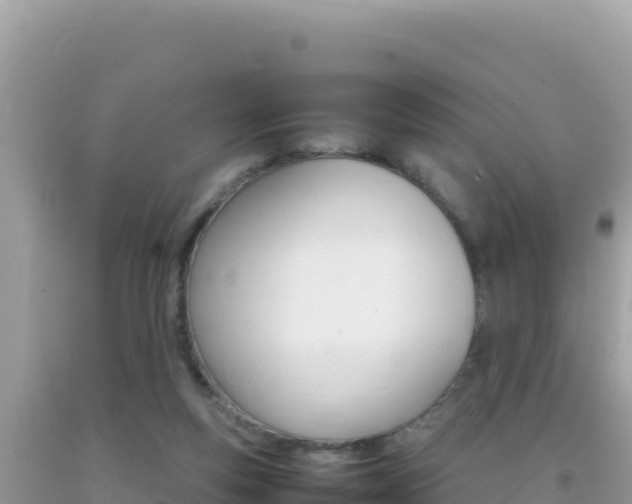 X0000092230163200709140948