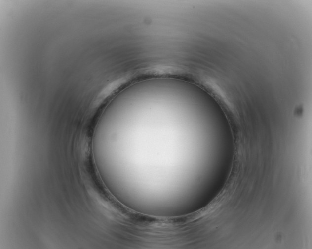 X0000092230164200709140949