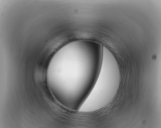 X0000092230168200709140949