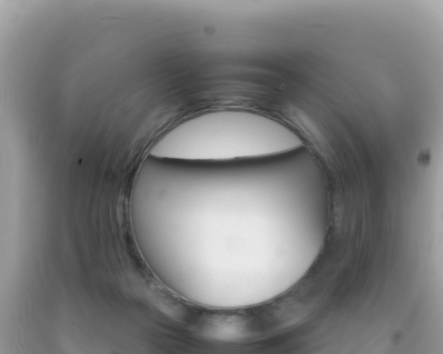 X0000092230169200709140949