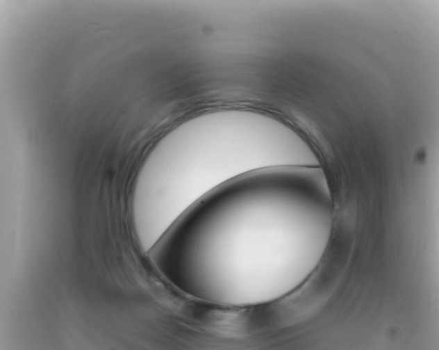 X0000092230170200709140949