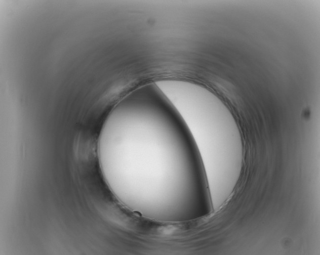 X0000092230172200709140949