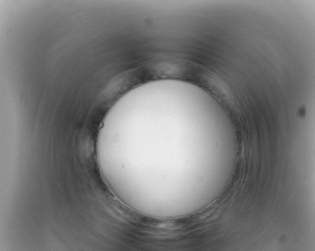 X0000092230173200709140949