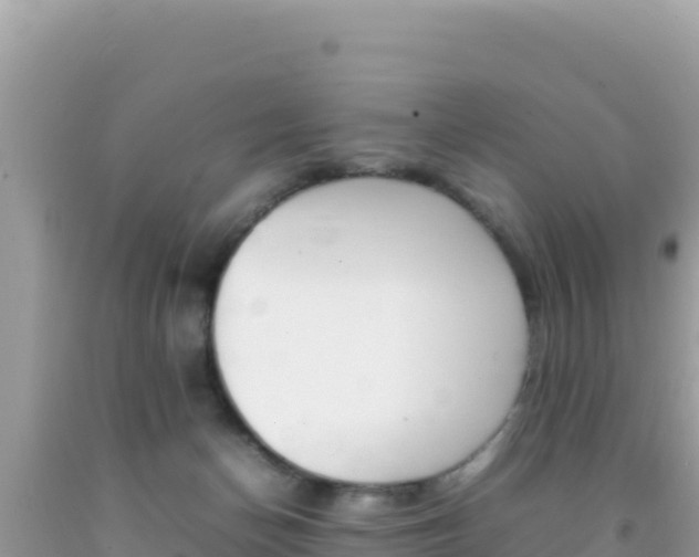 X0000092230174200709140949