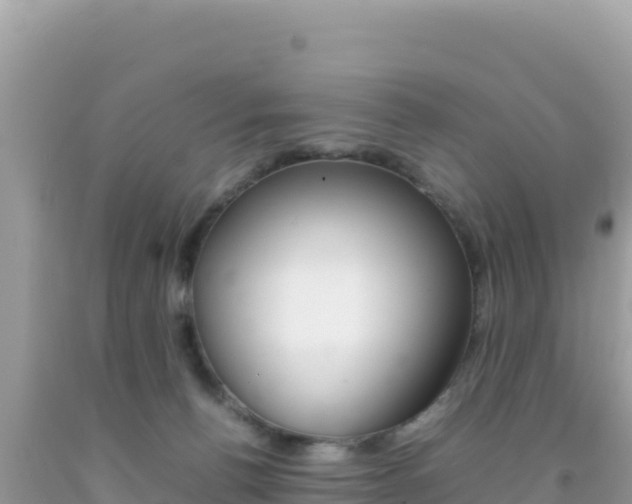 X0000092230176200709140949
