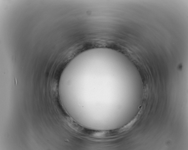X0000092230178200709140949