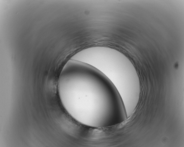 X0000092230180200709140949