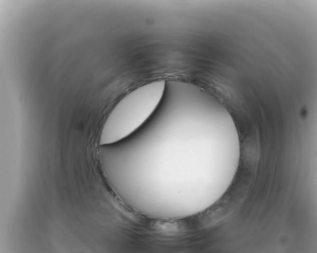 X0000092230181200709140949