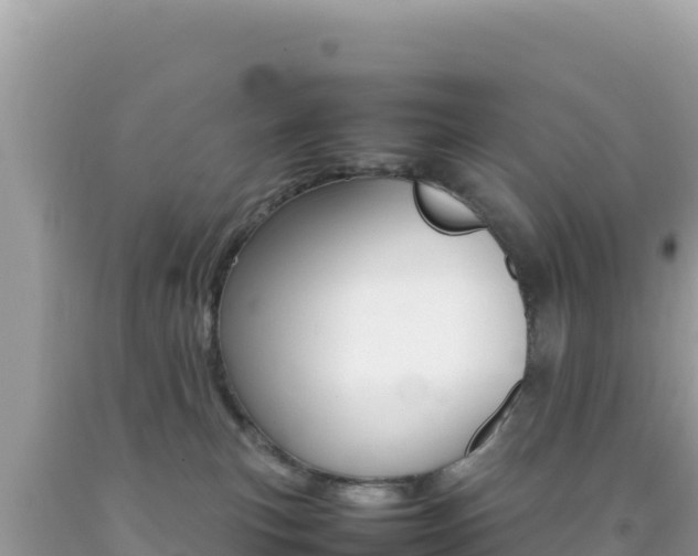 X0000092230183200709140949