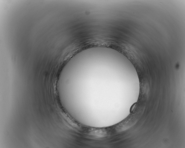 X0000092230185200709140949