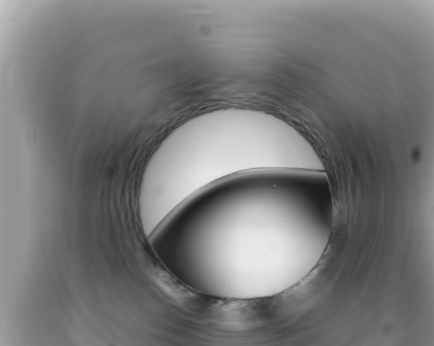 X0000092230186200709140949