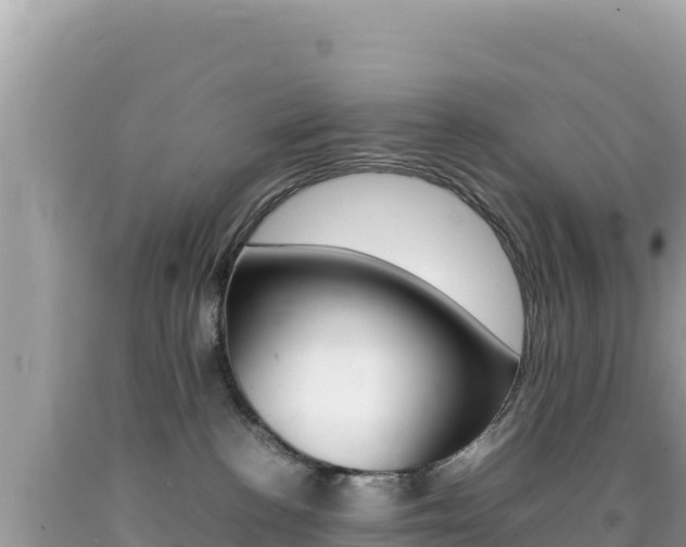 X0000092230188200709140949