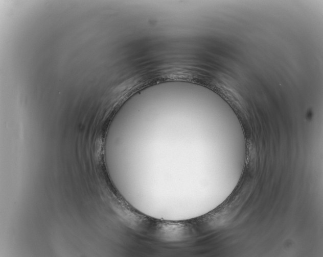 X0000092230189200709140949