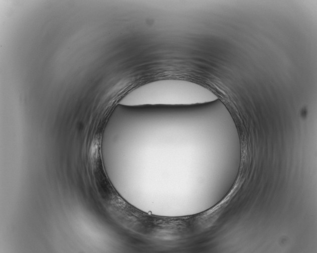 X0000092230191200709140949