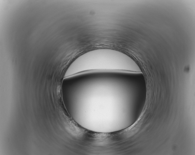 X0000092230192200709140949